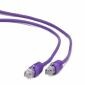 Cableexpert UTP CAT5e Patch Cable, μωβ, 1m