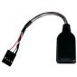 USB 2.0 AF σε 5-pin Εσωτερικό, 15cm