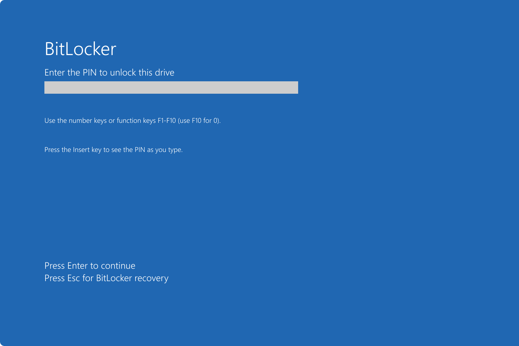 παράκαμψη bitlocker
